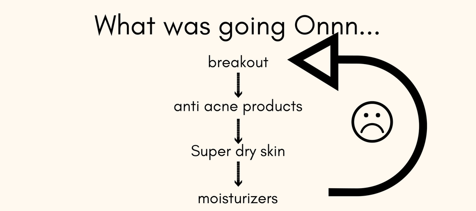 Why use Crystal Skin Set by So Good Botanicals - my vicious zits circle